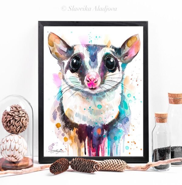 Sugar glider