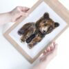 Baby Broun Bear Watercolor