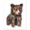 Baby Broun Bear Watercolor