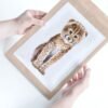 Baby Cheetah Watercolor KA005612 Baby Cheetah