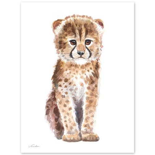Baby Cheetah