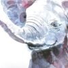Baby Elephant Watercolor KA004613 Baby Elephant Watercolor Print