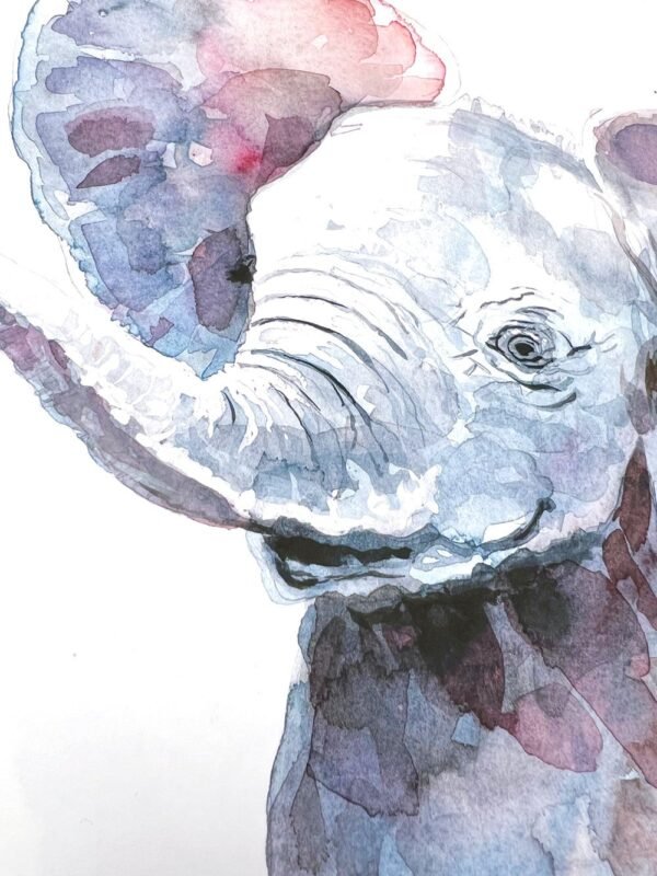 Baby Elephant Watercolor KA004613 Baby Elephant Watercolor Print