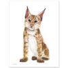 Baby Eurasian Lynx Watercolor KA005713 Eurasian Lynx Watercolor Print