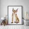 Baby Eurasian Lynx Watercolor KA00577 Eurasian Lynx Watercolor Print