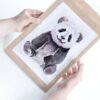 Baby Panda Watercolor KA005212 Baby Panda Watercolor