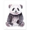Baby Panda Watercolor KA005213 Baby Panda Watercolor