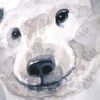Baby Polar Bear Watercolor