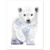 Baby Polar Bear Watercolor