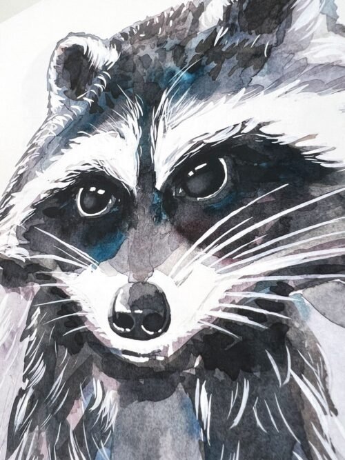 Baby Raccoon Watercolor