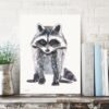 Baby Raccoon Watercolor
