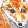 Baby Red Fox Watercolor KA004813 Red Fox Watercolor Print