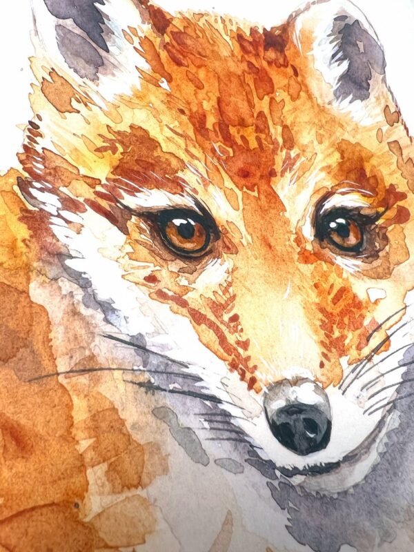 Baby Red Fox Watercolor KA004813 Red Fox Watercolor Print