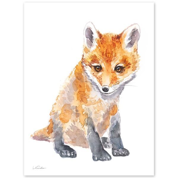 Baby Red Fox Watercolor KA004814 Baby Red Fox Watercolor
