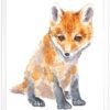 Baby Red Fox Watercolor KA00485 Red Fox Watercolor Print