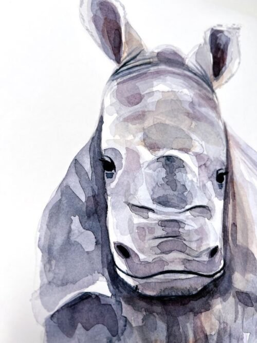 Baby Rhino Watercolor