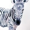Baby Zebra Watercolor14 Baby Zebra Watercolor