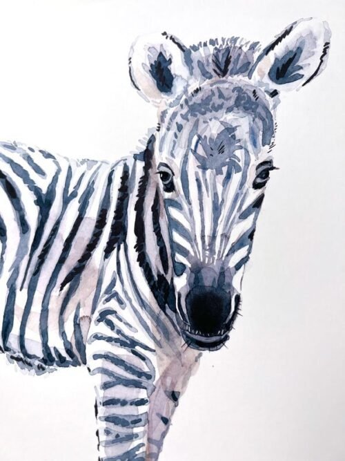 Baby Zebra Watercolor