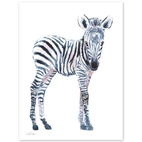 Baby Zebra Watercolor Print
