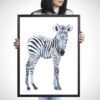Baby Zebra Watercolor3 Baby Zebra