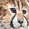 Baby Cheetah Baby Cheetah