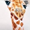 Baby Giraffe Watercolor