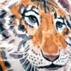 Baby Tiger Watercolor