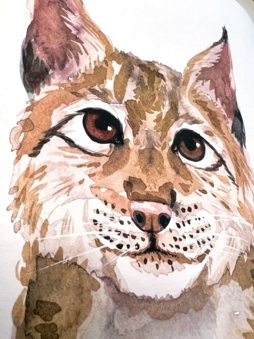 Eurasian Lynx Watercolor Print