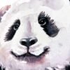 Baby Panda Watercolor Baby Panda Watercolor