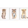 Set of 3 prints Cheetah Tiger and Lion Watercolor Set of 3 prints Cheetah Tiger and Lion Watercolor