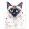 Siamese cat Siamese cat