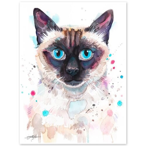 Siamese cat