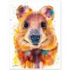 Quokka