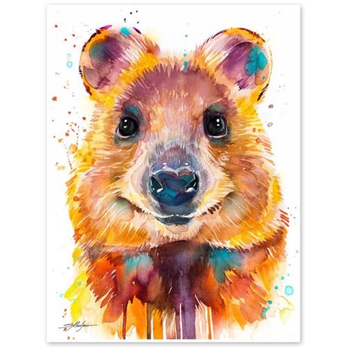 Quokka