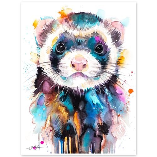 Ferret