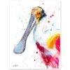 Roseate spoonbill