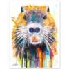Nutria Nutria