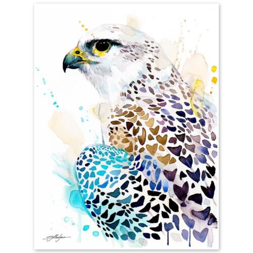 Gyrfalcon
