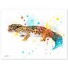 Leopard gecko