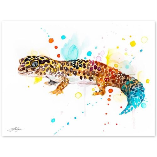 Leopard gecko