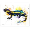 Fire salamander