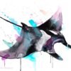 Giant Manta Ray, Mobulidae