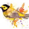 Hooded warbler