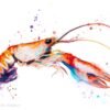 Crawfish