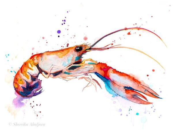Crawfish