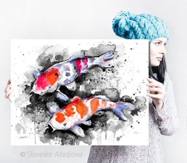 Black and white Koi
