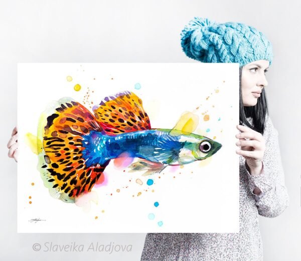 Guppy, Rainbow fish