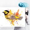 Hooded warbler