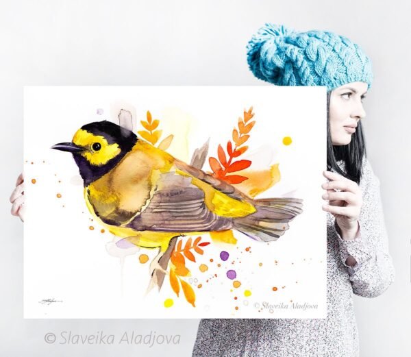 Hooded warbler