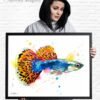 Guppy, Rainbow fish
